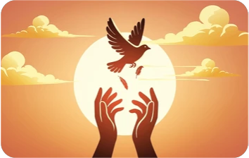 hands releasing a dove in front of the sun